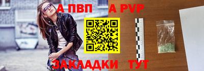хмурый Кингисепп