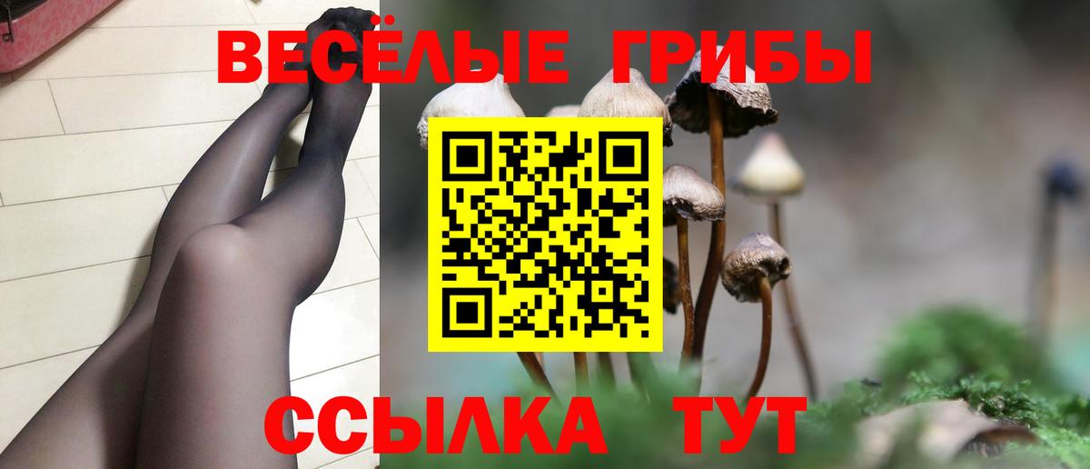 Галлюциногенные грибы MAGIC MUSHROOMS  Вход с VPN  Котовск 